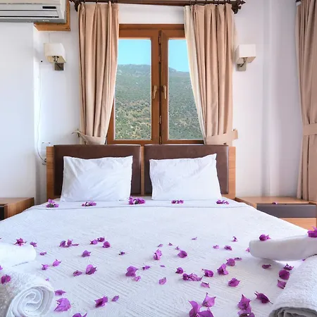 Villa Simsek *